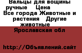 Вальцы для вощины ручные  › Цена ­ 10 000 - Все города Животные и растения » Другие животные   . Ярославская обл.